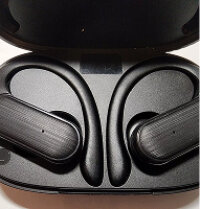 Customer photo of the earbuds in their case